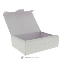 Cajas Plegables de Cartón: Soluciones Prácticas y Resistentes